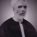 الدجوي