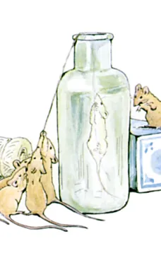 The Tale of Ginger and Pickles