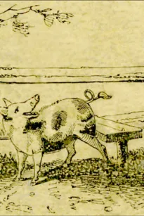 The Remarkable Adventures of an Old Woman and Her Pig
An Ancient Tale in a Modern Dress