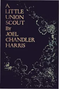 A Little Union Scout