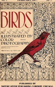 Birds, Illustrated by Color Photography, Vol. 1, No. 2
February, 1897