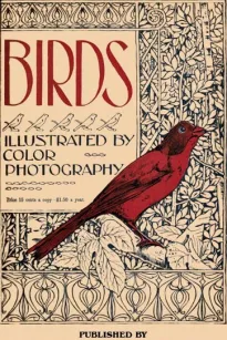 Birds, Illustrated by Color Photography, Vol. 1, No. 2
February, 1897