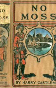 No Moss; Or, The Career of a Rolling Stone