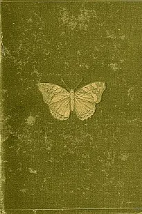 Butterflies and Moths (British)