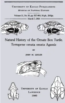 Natural History of the Ornate Box Turtle, Terrapene ornata ornata Agassiz