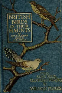 British Birds in Their Haunts