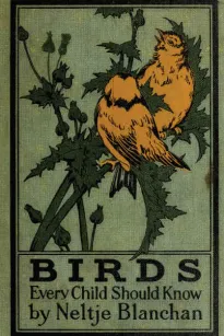 Birds Every Child Should Know