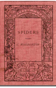 Spiders