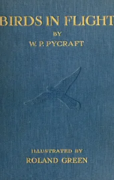Birds in Flight