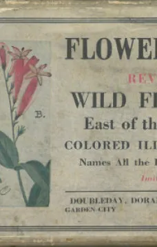 Flower Guide
Wild Flowers East of the Rockies (Revised and with New Illustrations)