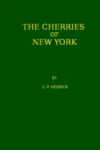The Cherries of New York