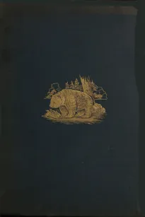 The Romance of the Woods