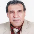 د. محمد عودة عليوي
