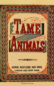 Tame Animals