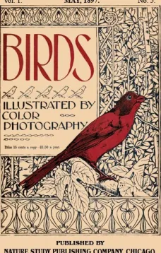Birds, Illustrated by Color Photography, Vol. 1, No. 5
May, 1897