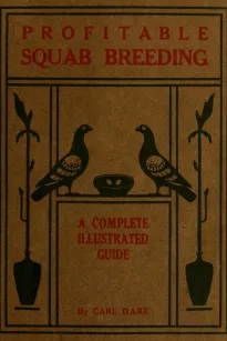 Profitable Squab Breeding
