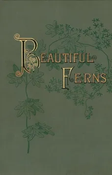 Beautiful Ferns