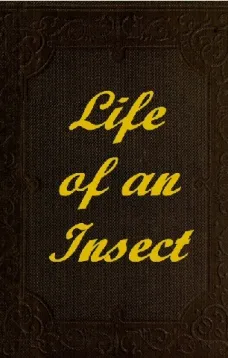 The Life of an Insect
being a history of the changes of insects from the egg to
the perfect being.