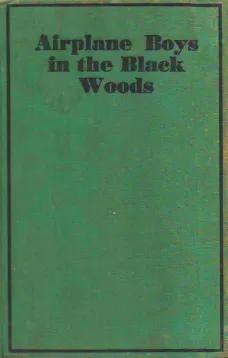 Airplane Boys in the Black Woods