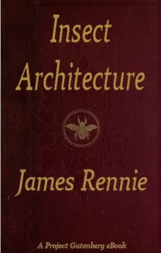Insect Architecture