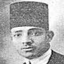 ابراهيم انيس