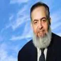 صلاح ابو اسماعيل