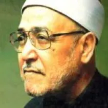 طه العفيفي