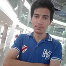 محمد أحمد محمد الزريقي