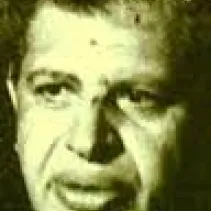 حامد ربيع