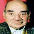 انور الجندي