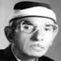 جلال الدين الحنفي