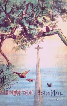 On the Tree Top