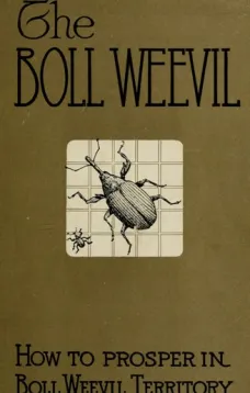 How to Prosper in Boll Weevil Territory