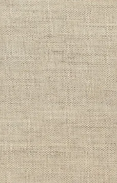 San Francisco in Ruins
A Pictorial History of Eight Score Photo-Views of the Earthquake Effects, Flames' Havoc, Ruins Everywhere, Relief Camps