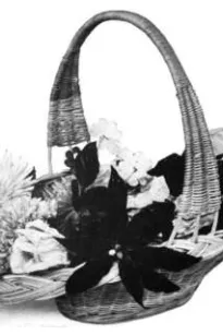 Practical Basketry