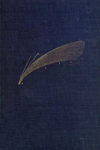 Astronomical Curiosities: Facts and Fallacies