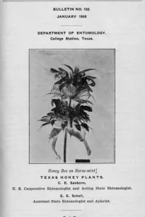 Texas Honey Plants