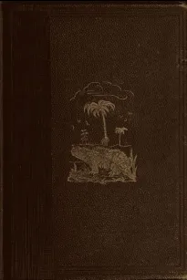 The World Before the Deluge