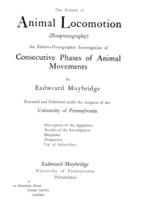 The Science of Animal Locomotion (Zoopraxography)
An Electro-Photographic Investigation of Consecutive Phases of Animal Movements