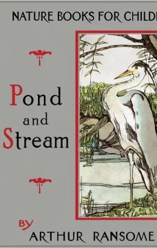Pond and Stream