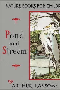 Pond and Stream