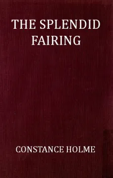 The Splendid Fairing
