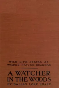 A Watcher in The Woods