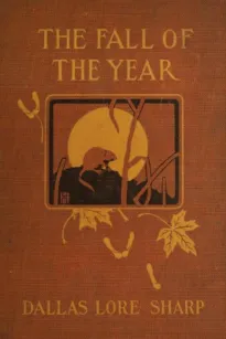 The Fall of the Year
