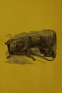 All about Ferrets and Rats
A Complete History of Ferrets, Rats, and Rat Extermination from Personal Experiences and Study. Also a Practical Hand-Book on the Ferret.