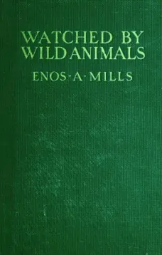 Watched by Wild Animals