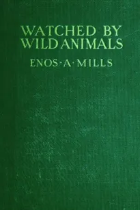 Watched by Wild Animals