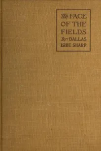 The Face of the Fields