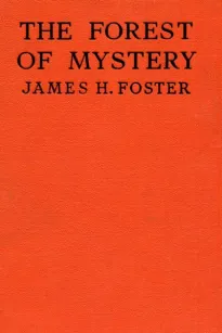 The Forest of Mystery