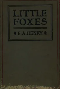 Little Foxes
Stories for Boys and Girls